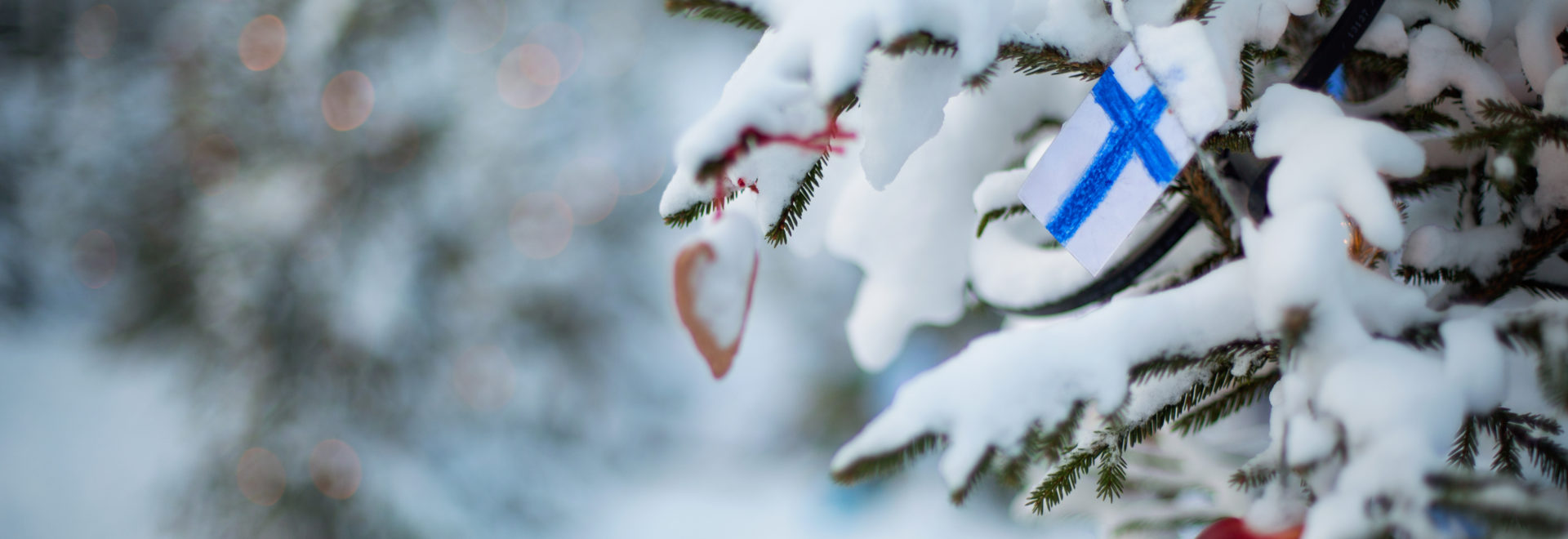Finnish Christmas Martat