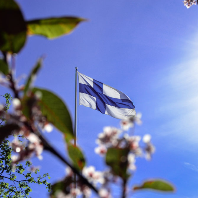 Kukkivien oksien takaa näkyy Suomen lippu lipputangossa vasten sinistä taivasta.