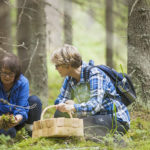 Kaksi naista, yksi blondi ja toinen ruskeahiuksinen, istuvat kyykyssä valoisessa metsässä. Yhdellä on reppu selässä ja kädessään kori, ja toisella on käsissään sammaleinen kasa sieniä.