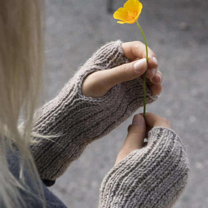 Ihminen, jolla on päällä sormittomat villahanskat, pitelee käsissään pientä keltaista kukkaa.