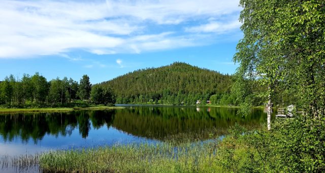 Ruusu-unelmia ja villasukkia