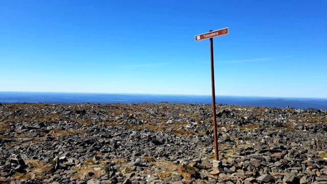 Ruusu-unelmia ja villasukkia