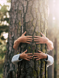 Kaksi käsiparia halaa puuta sen takaa. Alempien käsien ympärillä ovat villapaidan hihat. Taustalla on metsikköä ja lisää puita.
