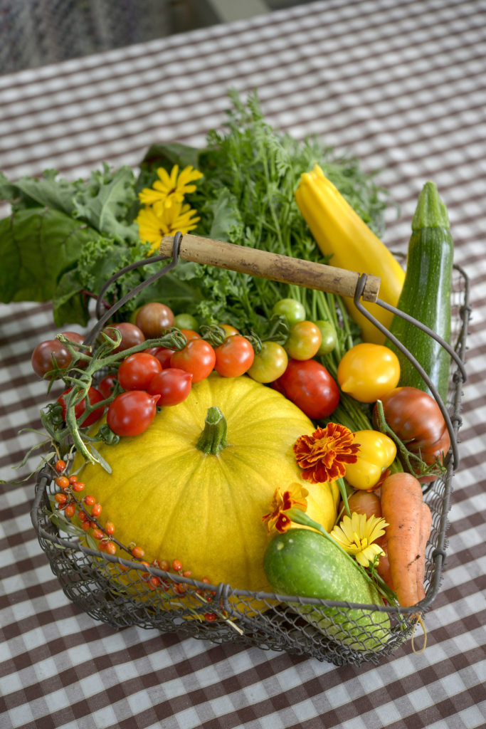Korillinen vihanneksia ruskea-valkoruudullisen pöytäliinan päällä. Korissa on suuri keltainen kurpitsa, kaksi kesäkurpitsaa, eri värisiä ja lajikkeisia tomaatteja, porkkanoita ja muutama kukka koristeena.