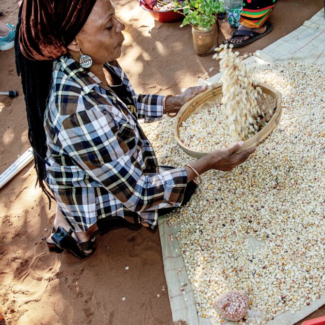 Pitkähiuksinen afrikkalaistaustainen nainen on polvillaan ruskeassa maassa, hänellä on kädessään siivilä ja hän siivilöi maissin jyviä heittämällä niitä korkealle ilmaan.