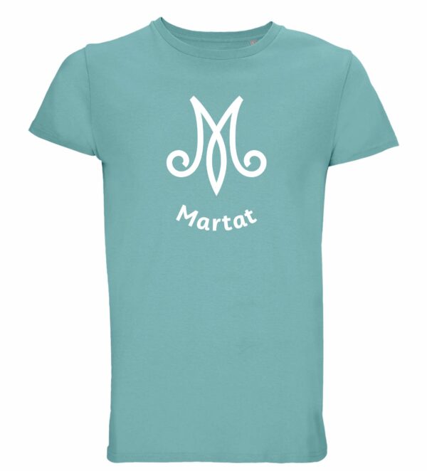 t-paita pool blue logo